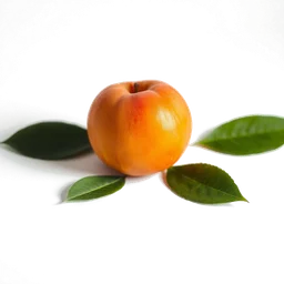 Pictogramme ingrédient olfactif : Apricot