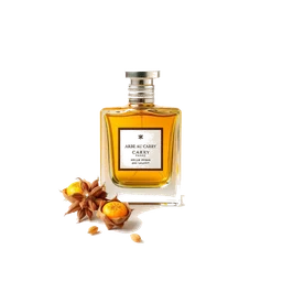 Note olfactive de cœur arbre au curry dans le parfum Remarkable People