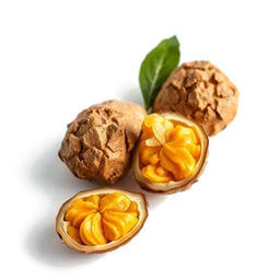 Note olfactive de cœur argan dans le parfum Sweet Xplosion