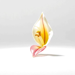 Pictogramme ingrédient olfactif : Arum Lily