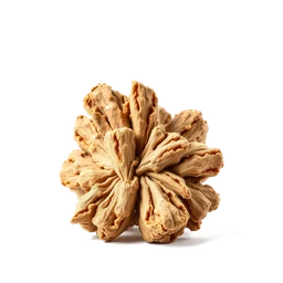 Pictogramme ingrédient olfactif : Australian Sandalwood