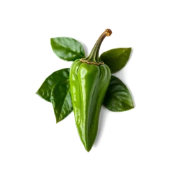 Pictogramme ingrédient olfactif : Bengal Pepper