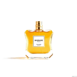 Note olfactive de tête bigarade dans le parfum Gntonic