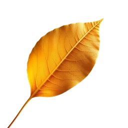 Pictogramme ingrédient olfactif : Birch Leaf