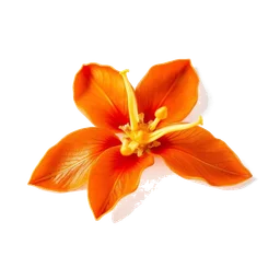 Pictogramme ingrédient olfactif : Bitter Orange Blossom