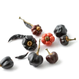 Note olfactive de tête Black and Pink Pepper dans le parfum Goldflower