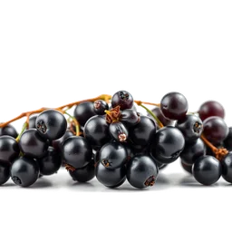 Pictogramme ingrédient olfactif : Black Currant Blossom