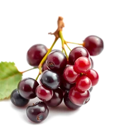 Pictogramme ingrédient olfactif : Black Currant