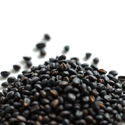 Pictogramme ingrédient olfactif : Black Sesame
