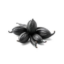 Pictogramme ingrédient olfactif : Black Vanilla Husk