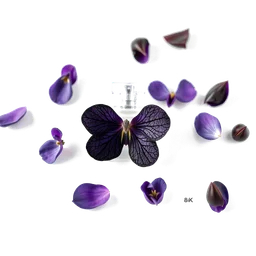 Pictogramme ingrédient olfactif : Black Violet