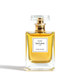 Note olfactive de cœur blanc datura dans le parfum Ambre Ardent