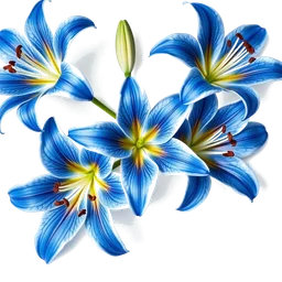 Pictogramme ingrédient olfactif : Blue Lilies