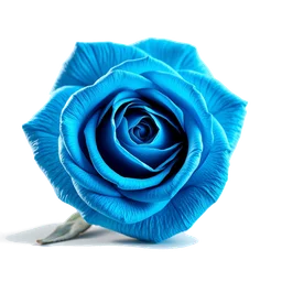 Pictogramme ingrédient olfactif : Blue Rose