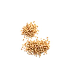 Note olfactive de tête Buckwheat dans le parfum Il Etait Un Bois