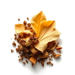 Pictogramme ingrédient olfactif : Bulgarian Light Tobacco