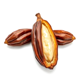Pictogramme ingrédient olfactif : Cacao Pod