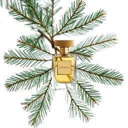 Pictogramme ingrédient olfactif : Canadian Fir