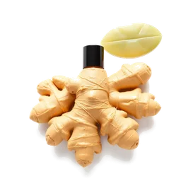 Pictogramme ingrédient olfactif : Candied Ginger