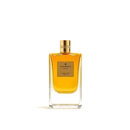 Note olfactive de tête canneberge dans le parfum Vacances Portofino
