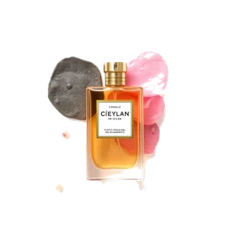 Note olfactive de cœur cannelle de ceylan dans le parfum L Eau D Issey Pour Homme