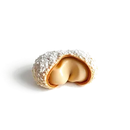 Note olfactive de cœur Cannoli dans le parfum Dolce Sicilia