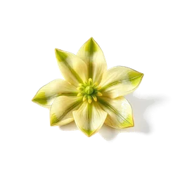 Pictogramme ingrédient olfactif : Cardamom Flower