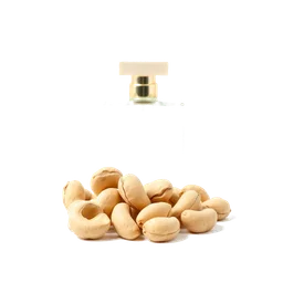 Pictogramme ingrédient olfactif : Cashew