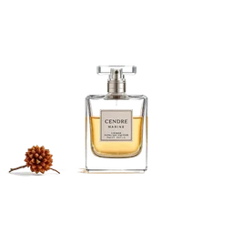Note olfactive de cœur cendre_marine dans le parfum Sea Salt Caramel