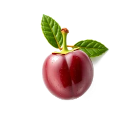 Note olfactive de cœur cerise verte dans le parfum Feve Delicieuse