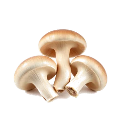 Note olfactive de cœur champignons dans le parfum Magic Mushrooms