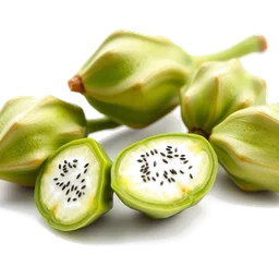 Note olfactive de tête chayote dans le parfum Artisan Blu