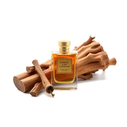 Pictogramme ingrédient olfactif : Chinese Cedar