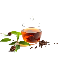 Pictogramme ingrédient olfactif : Chinese Tea