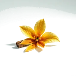 Pictogramme ingrédient olfactif : Cinnamon Flower