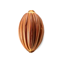 Note olfactive de fond cocoa shell dans le parfum Martini