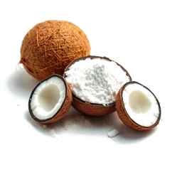Note olfactive de tête Coconut Powder dans le parfum Sugar-Coated