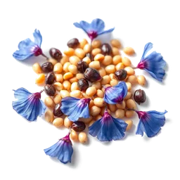 Pictogramme ingrédient olfactif : Cornflower or Sultan seeds