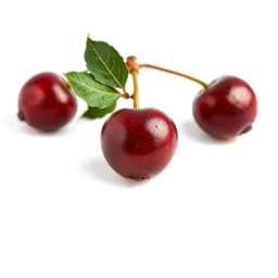 Pictogramme ingrédient olfactif : Cranberry