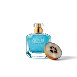 Note olfactive de tête c)?$uaité dans le parfum Last Summer Night