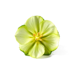Pictogramme ingrédient olfactif : Cucumber Flower