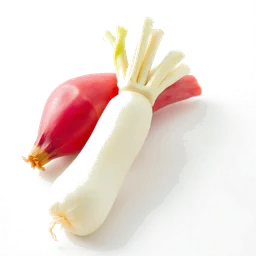 Pictogramme ingrédient olfactif : Daikon radish