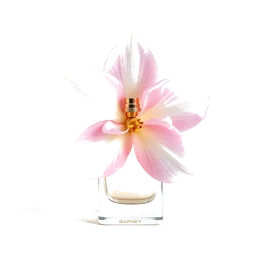 Note olfactive de cœur daphné dans le parfum Women Of Earth
