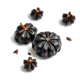 Pictogramme ingrédient olfactif : Dark Patchouli