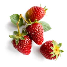 Pictogramme ingrédient olfactif : Dewberry