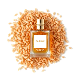 Note olfactive de fond farine dans le parfum Poppy Barley