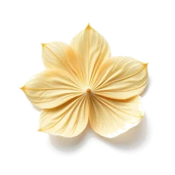 Note olfactive de tête feuille de bambou dans le parfum Jesus Del Pozo In White