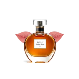 Note olfactive de fond feuille de laurier dans le parfum Spice Blend