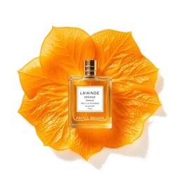 Note olfactive de tête feuille dorange dans le parfum 3600 Red