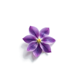 Note olfactive de cœur feuilles de violettes dans le parfum Riflesso